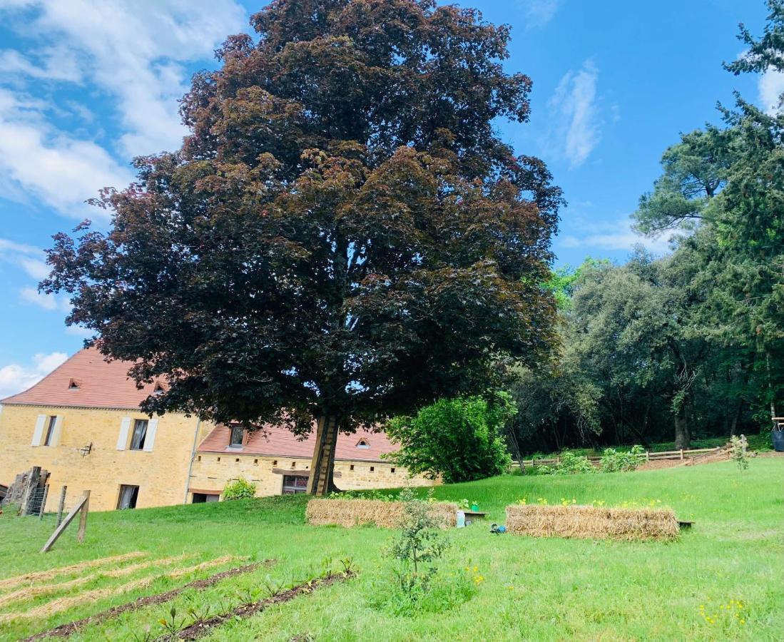 Villa L'Ecrin Des Symes Simeyrols Exterior foto